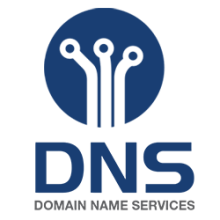 DNS logo